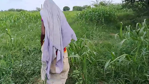 Daftar Terpanas: Sepuluh Video Mesum Terbaru Bhabhi India Yang Tergila-gila