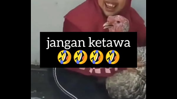 Gadis Montok Ngakak Sambil Ngebayangin Gerakan Ngebut Di Ranjang.