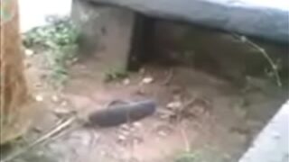 Video Mesum Desi Di Luar, Istri Selingkuh Main Sama Kekasihnya, Bikin Nafsu Naik