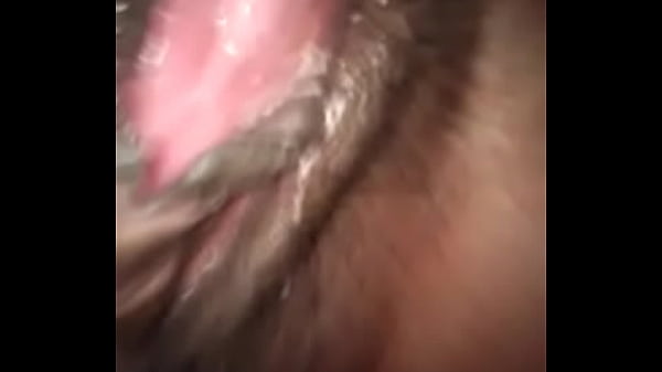 Istriku Sange Part 2, Siap Dijilat Habis